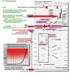 G-RAD/RADCHART-small22.jpg