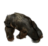 INTELLEKFOUNDATION/silverback-ape.gif